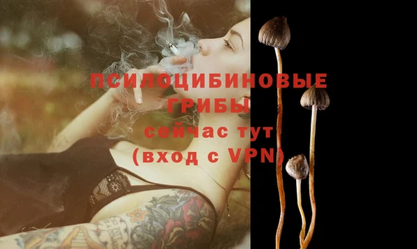 мдма Карпинск