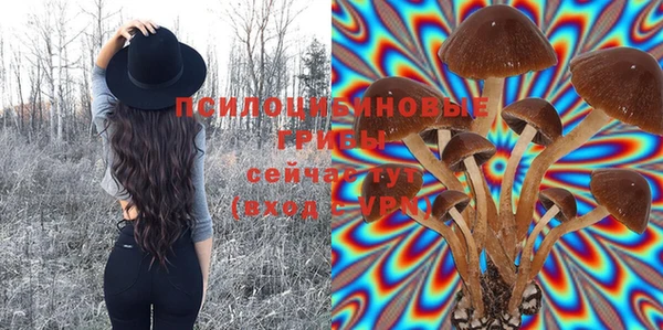 гашиш Касимов