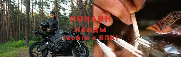 гашиш Касимов