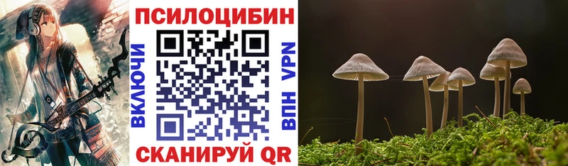 Купить где Куйбышев Псилоцибиновые грибы Cubensis